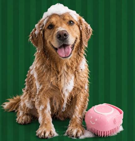 BROSSE À SHAMPOING