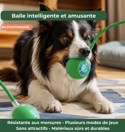 Balle intelligente