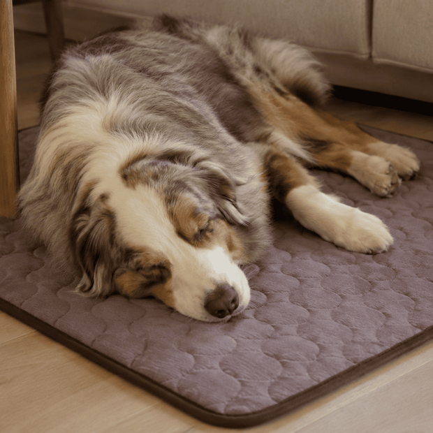 <h3>Le tapis rafraîchissant</h3>