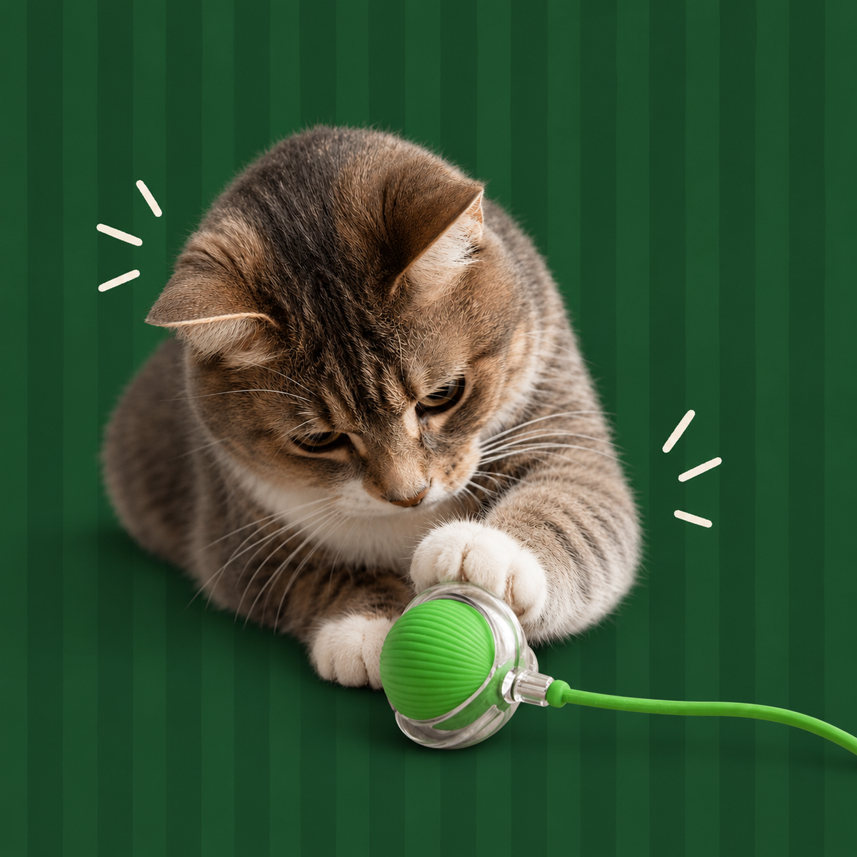 BALLE INTERACTIVE
