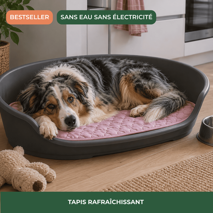 Collection image for: Page d’accueil