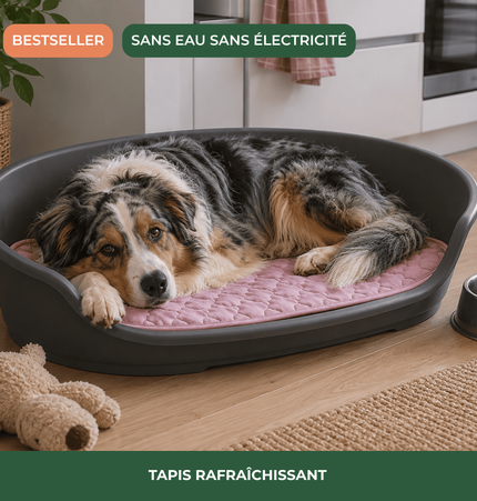 Tapis rafraîchissant