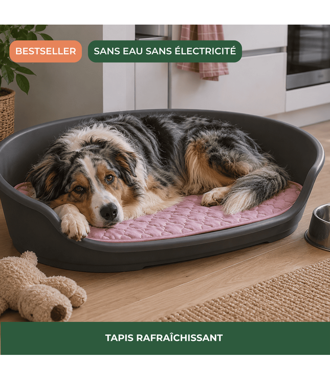 Tapis rafraîchissant