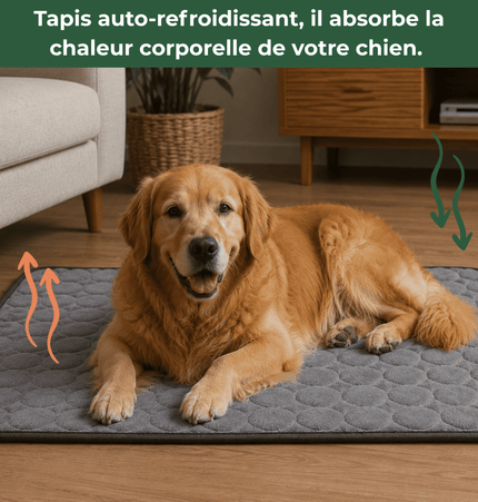 Tapis rafraîchissant