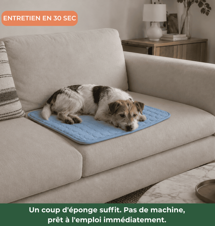 Tapis rafraîchissant