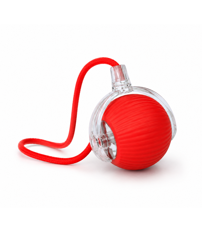 BALLE INTERACTIVE