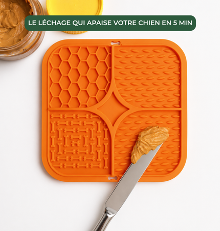TAPIS DE LÉCHAGE